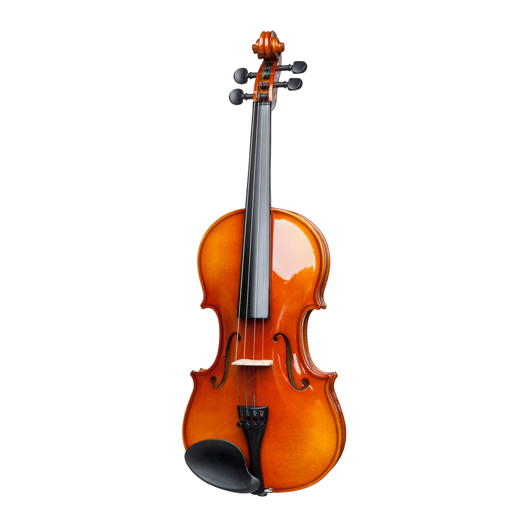 Stagg VN-44L Violin with Case