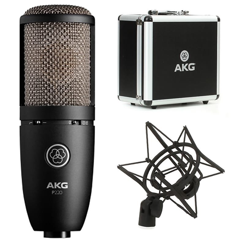 AKG P220- High-Performance Condenser Microphone - Metronome Music Inc.